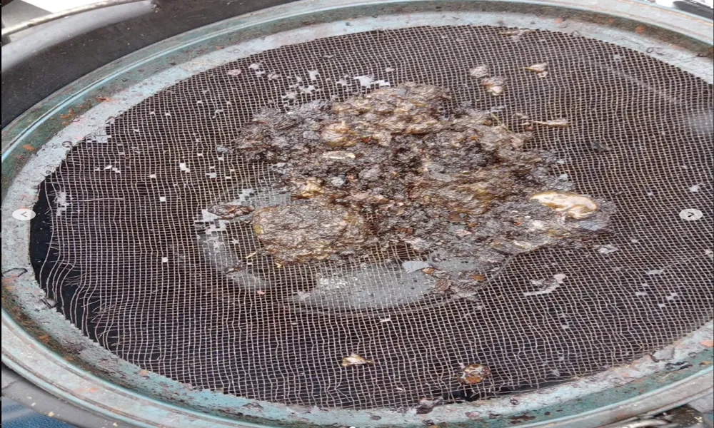 Borra acumulada em tela de filtragem de tanque de combustível, evidenciando contaminação do diesel.